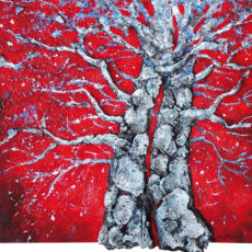 coup de foudre 70×70 cm