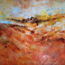 100 cm x 100 cm