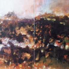 sans titre diptyque 160×80 cm
