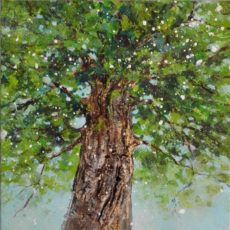 printemps 40 x 40 cm