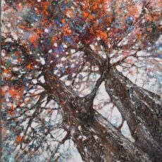 Arbres Amoureux