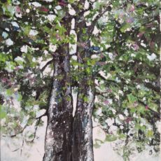 Arbres amoureux 55 x 33 cm