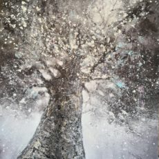 L&rsquo;arbre qui parlait aux étoiles 65 x 54 cm