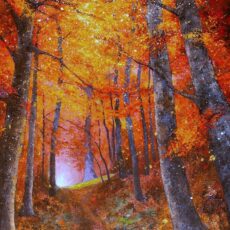  » PROMESSE  » Allée de hêtres avec balise au bout du chemin .195 x 130 cm