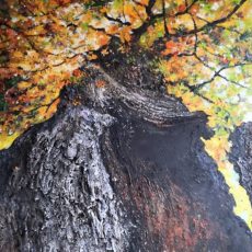 Le chêne Saint-Jean à Compiègne 160x120cm