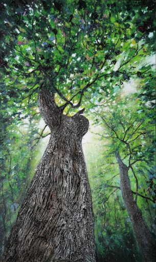 Le chêne de l’Entente Compiègne 162 x 97 cm