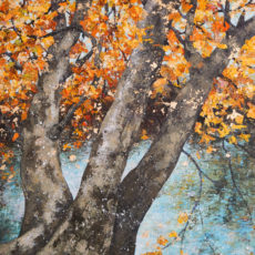 Platanes étang St-Périne à Compiègne – 116 x 89 cm