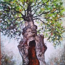 Chêne St-Jean 55 x 33 cm