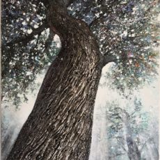 Chêne des Beaux-Monts 130 x 81 cm- Compiègne