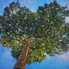 Coeur de Couttolenc 160 x120 cm- Compiègne