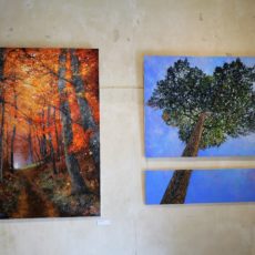 Exposition salle des Minimes Compiègne été 2020