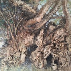 Le chataignier de Kerséoc&rsquo;h à Pont-Labbe ( 29) 60×60 cm