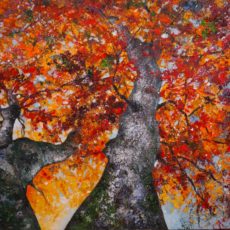 Couple de hêtres 100 x 73 cm