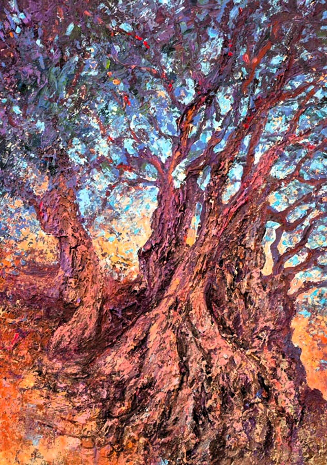 Arbre-remarquable-olivier-millenaire-Joss-Blanchard.jpg