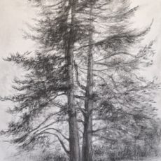 Arbres amoureux 100 x 50 cm
