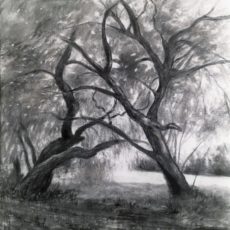CONVERSATION  60 x 60 cm