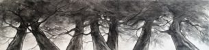 portrait d'une famille d'arbres- fusain sur toile- format allon