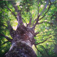 VIVANT  80 x 80 cm