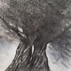 Arbres amoureux 40 x40 cm