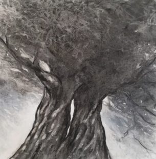fusain sur toile- arbres amoureux- dessin - oeuvre d'art avec arbre