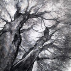 ENSEMBLE, NOUS LES TRAVERSERONS… 60 x 60 cm