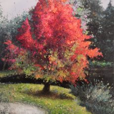 Mon Arbre 73 x 54 cm