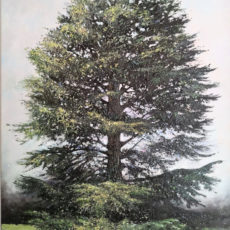 NAWAL  130 x 89 cm