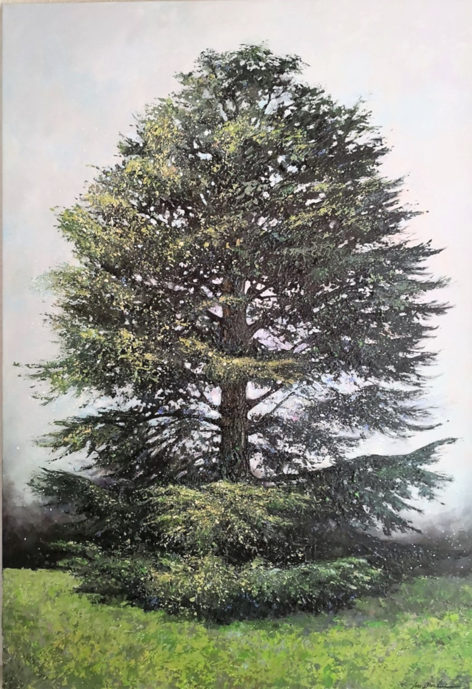 peinture- arbre- cèdre du Liban - portrait d'arbre
