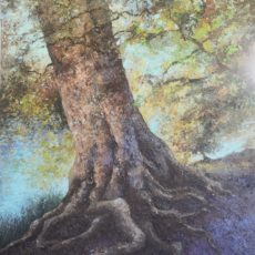 RACINE 162 x 97 cm
