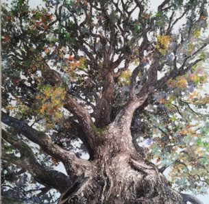 peinture arbre remarquable- chêne-
