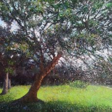 LE BIENVEILLANT ( le charme du parc du château de Lamorlaye) 150 x 100 cm