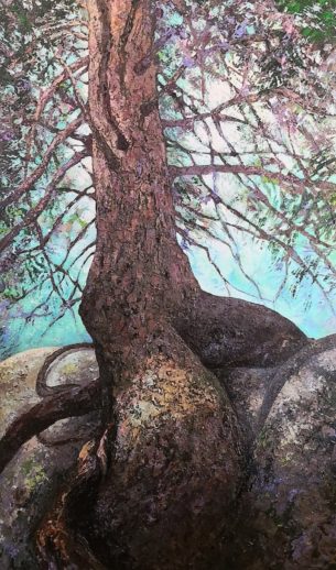 Portrait d'arbre- épicéa cavalier en forêt de Fontainebleau- arbre remarquable peinture