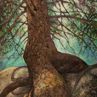 Tableau intitulé Amazone qui représente une œuvre de Joss Blanchard avec un arbre central majestueux dont les racines chevauchent une magnifique rocher tel une amazone sur sa monture.