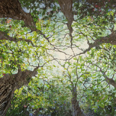 « GREEN » Les sept frères  ( 97 x 195cm )