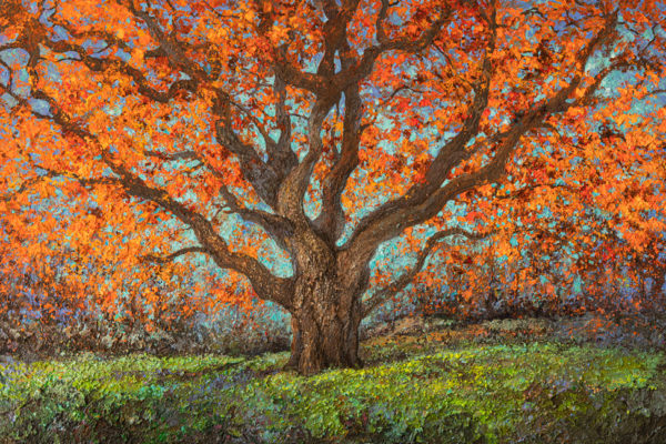 Tableau intitulé Le bouquet de la Reine Amélie qui représente une œuvre de Joss Blanchard avec un arbre central majestueux avec d'immenses branches pourvues de feuilles oranges et jaunes.