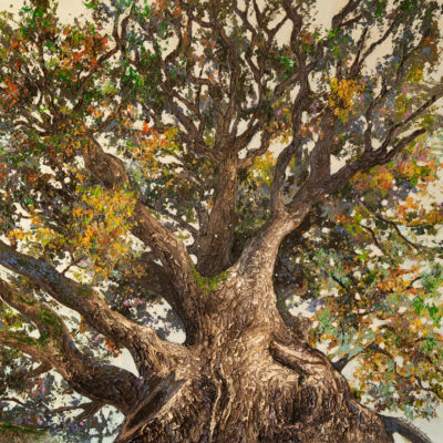 Tableau intitulé Le chêne qui représente une œuvre de Joss Blanchard avec un arbre central vu du sol avec ses branches qui prennent tout le tableau donnant un aspect imposant et protecteur.