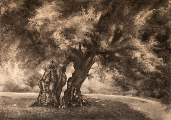 Tableau intitulé Le Tilleul aux épousailles qui représente une œuvre de Joss Blanchard avec un arbre central majestueux sur fond bleu ciel arbres qui se mélangent dans une ambiance grise et brun qui exprime une douceur et un calme reposant.