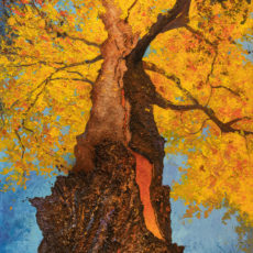 TOTEM ” le tulipier foudroyé “  195 x 97 cm