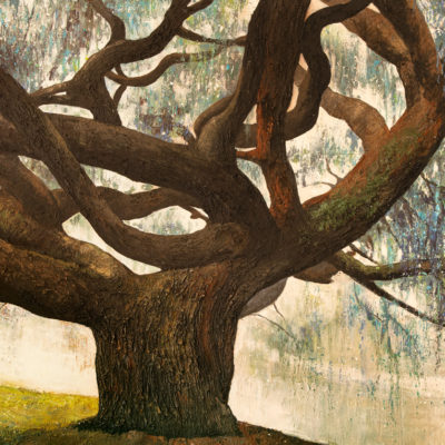 Tableau intitulé Le majestueux qui représente une œuvre de Joss Blanchard avec un arbre central immense qui plonge dans une ambiance lumineuse. Le détail de l'écorce et de la mousse sur l'arbre donne un effet réaliste tel une photo.