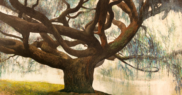 Tableau intitulé Le majestueux qui représente une œuvre de Joss Blanchard avec un arbre central immense qui plonge dans une ambiance lumineuse. Le détail de l'écorce et de la mousse sur l'arbre donne un effet réaliste tel une photo.