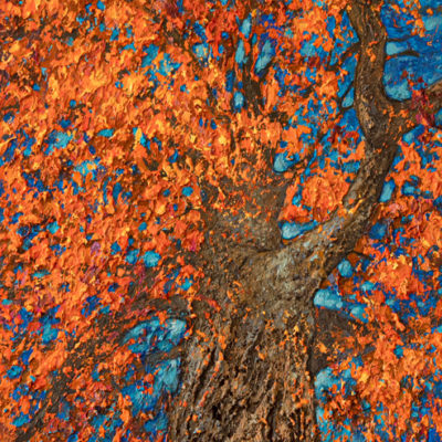Peinture d'arbre "Contraste" feuillage flamboyant se détachant d'un ciel bleu intense
