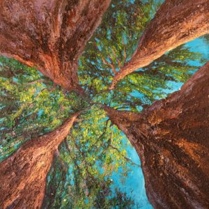 Peinture d'arbre à quatre troncs intitulée " Vertige" point de vue pris au bas et au coeur de l'arbre, ce qui lui donne un effet vertigineux. Réalisée par le peintre portraitiste d'arbre Joss Blanchard