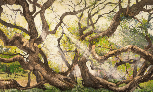 peinture d'arbre remarquable " résilience" représentant le sophora de Montry. Cette toile grand format a une dominante vert tendre , un rayon de lumière traverse l'arbre.