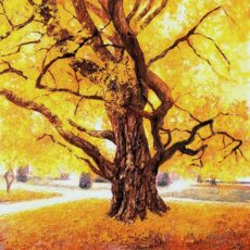 Le Ginkgo « Symbole de Paix » 110 x 110 cm