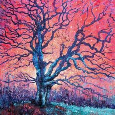 « L&rsquo;arbre qui parlait aux étoiles » Le gros chêne de Domfessel 116 x 89 cm