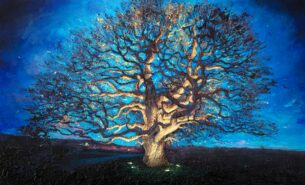 Le Chêne de Rimsdorf  “Sentinelle”  146 x 89 cm