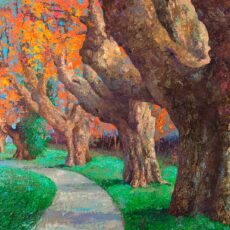 Allée de platanes 110 x 110 cm