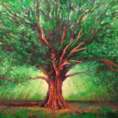 Le chêne de Salm à la Broque  146 x 89 cm