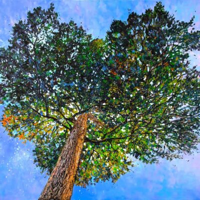 Peinture arbre remarquable le coeur du chene de Coutollenc par Joss Blanchard