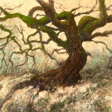 LA FORCE DE LA NATURE –  162 x 114 cm